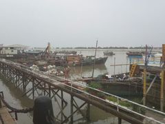 android_upload_pic-大湾区中央湿地公园-十九涌