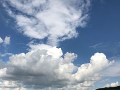 -塔尔寺游客服务中心