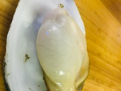 -土蚝·高压锅生蚝(百姓美食街店)