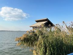 -阳澄湖半岛旅游度假区