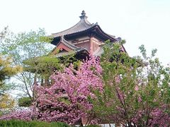 -西安青龙寺遗址景区