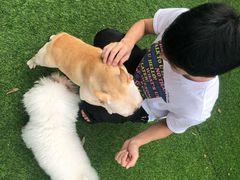 -汪说喵讲宠物乐园宠物酒店(红星美凯龙店)