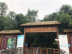-西青郊野公园