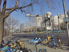 -北京威斯汀酒店
