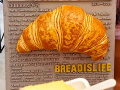 -PAPER STONE BAKERY(天环店)