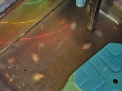 -秦二哥格格(高笋塘店)