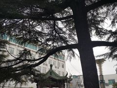-苏州苏城医院·综合医院