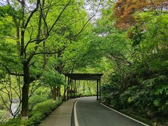 -长谷洞天