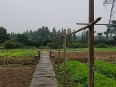 -咏竹苑