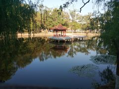 -华中科技大学光谷体育馆