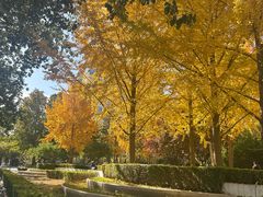 -新月斋(豆瓣胡同店)