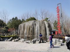 -合肥滨湖国家森林公园