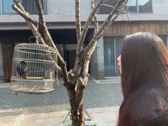 -扬州东关街文昌阁桔子水晶酒店