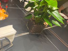 -旺顺阁·北京菜·烤鸭(大望路店)
