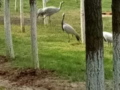 -艾溪湖湿地公园