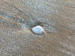 -青岛银沙滩