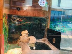-上海大自然野生昆虫馆(东方明珠·爬宠昆虫探索中心)