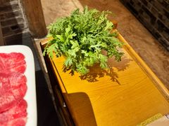 -仄园围炉坊·牛肉火锅·汕头卤水火锅(蛇口店)