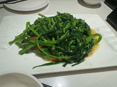 -煲煲好(朝阳门店)
