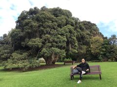 -墨尔本皇家植物园