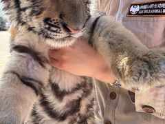 -西霞口神雕山野生动物世界