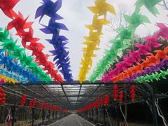 -东平国家森林公园