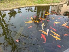 -九尺赵老四鲜鹅肠火锅