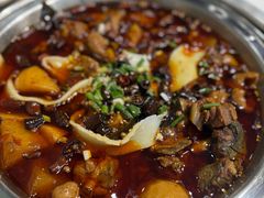-晓彭肥肠鸡·泡椒鸡火锅(水木天地店)