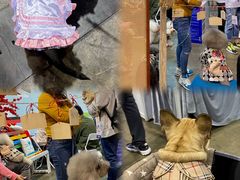 -香港会议展览中心演讲厅