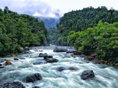牯牛降-石台牯牛降景区