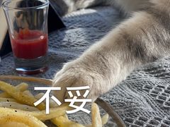 -平行世界·猫咖(首经贸店)