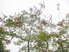 -三亚西岛海洋文化旅游区