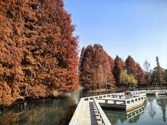 -白塘生态植物园