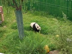 -沈阳森林动物园