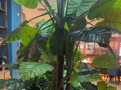 -悦海·家宴·冰花皮皮虾大锅贴(宝龙店)