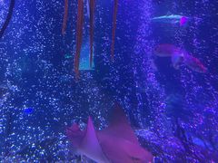 -沈阳海洋探索中心