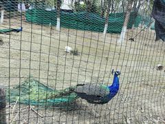 -长江文明馆