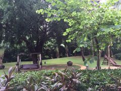 三亚湾海居铂尔曼度假酒店-三亚湾海居铂尔曼度假酒店