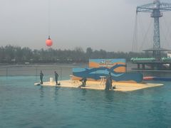 -秦皇岛乐岛海洋王国