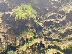 -马岭河峡谷风景区