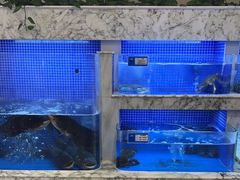 -香山湖渔家大院