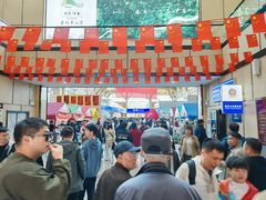 -汤旺河林海奇石景区