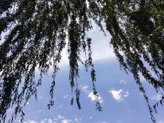 -后襄河公园