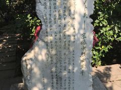 -莲湖公园