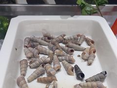 -惠州皇冠假日酒店·西餐厅·自助餐厅