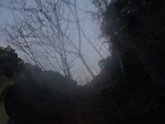 -宁海森林温泉