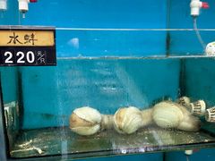 -老船长海鲜大排档(集美店)