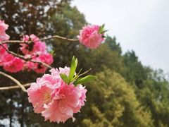 -颐和园