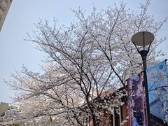 -上海交通大学医学院附属瑞金医院(总院)