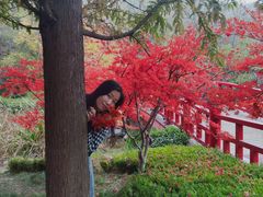 -大连植物园